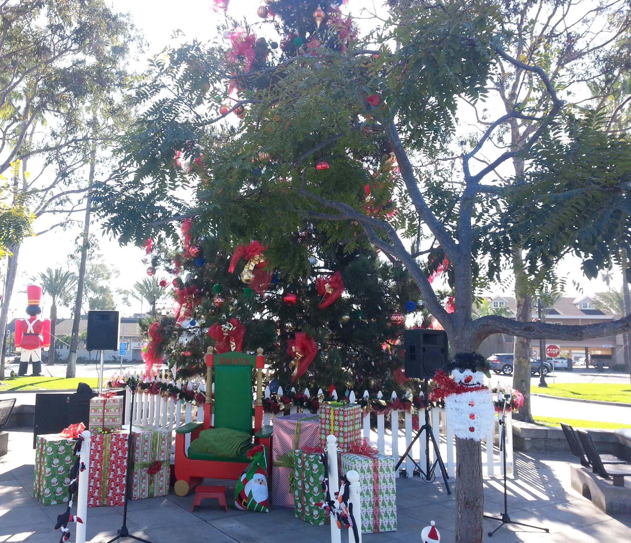 Dana Point Winter Festival and Tree Lighting Saturday December 1 2018