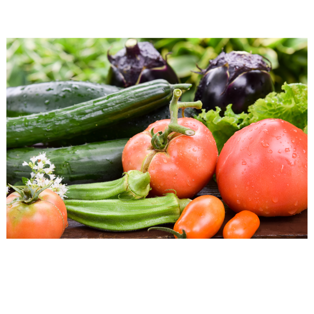 Laguna Beach Library Master Gardners Workshop Saturday February 15 2025 ...